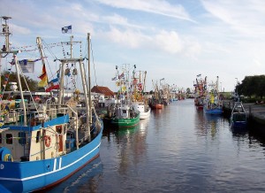 Friedrichskoog_Hafen_Kutterregatta2